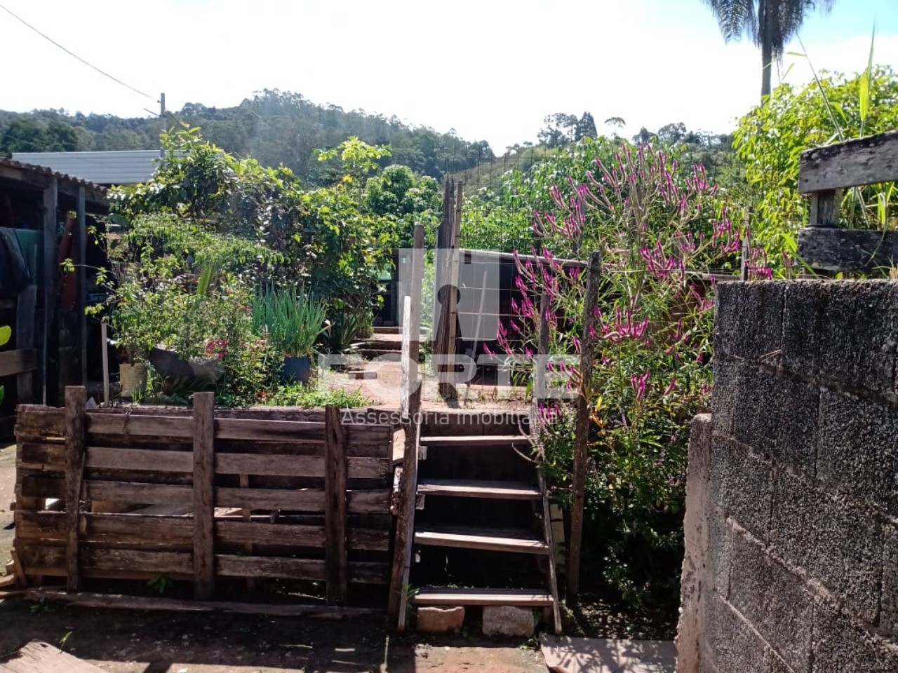 Chácara, 3 quartos, 1845 m² - Foto 10