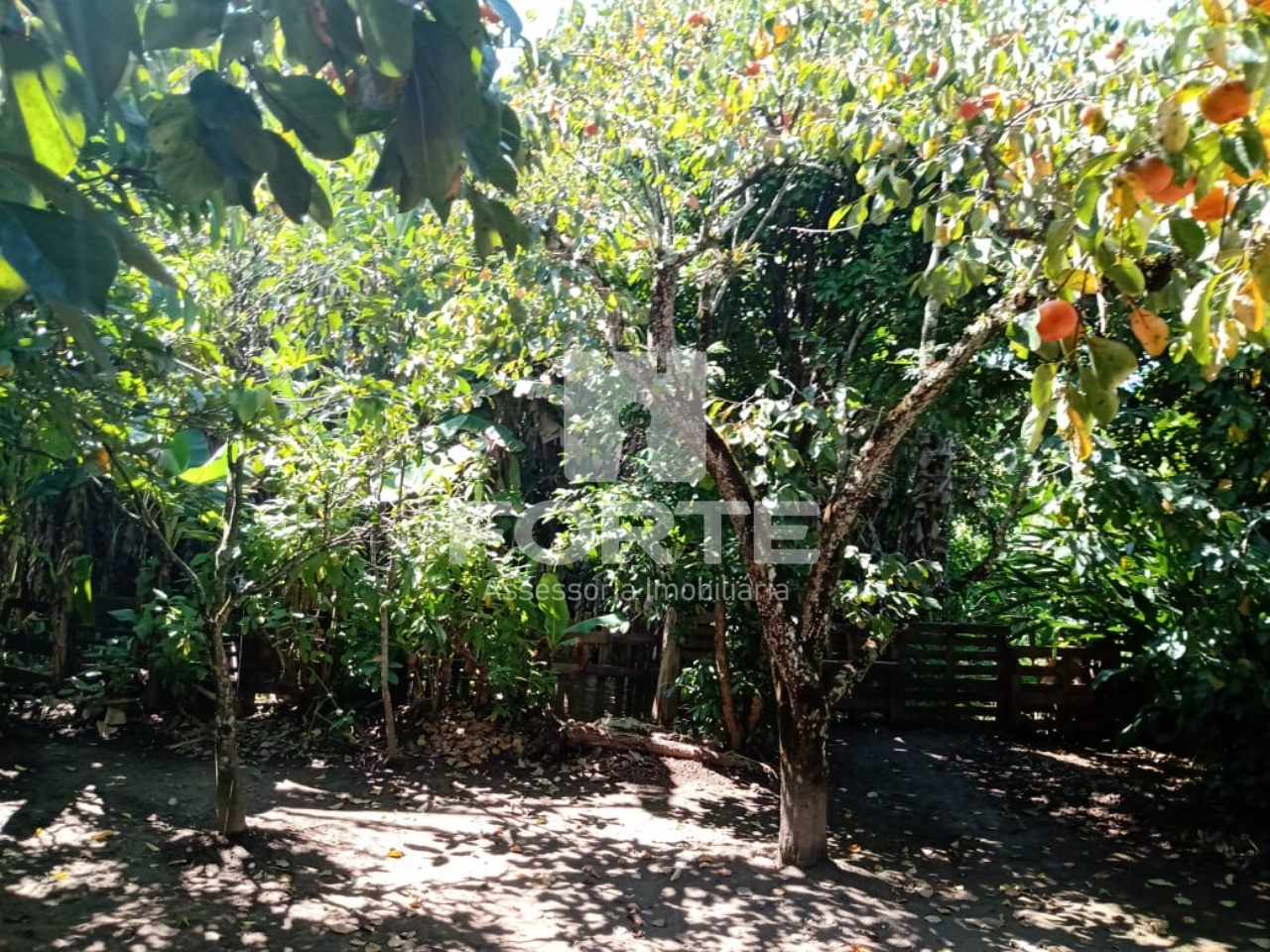 Chácara, 3 quartos, 1845 m² - Foto 21