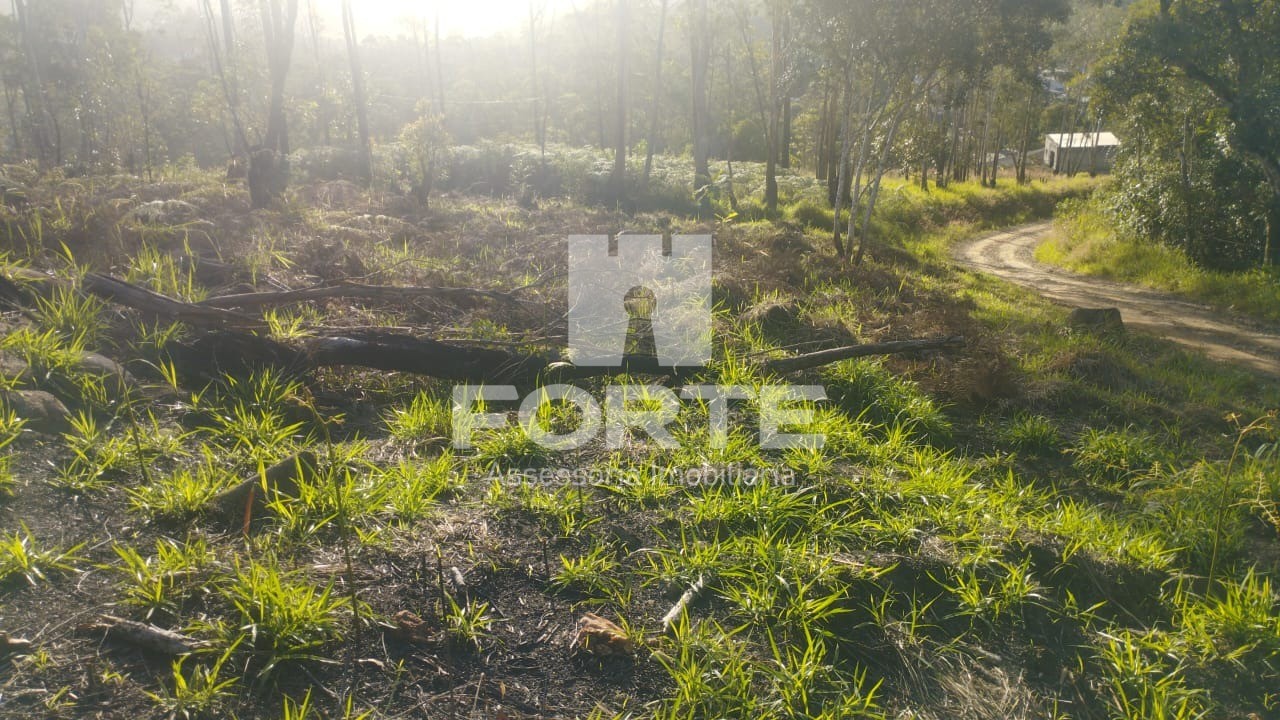 Terreno, 1000 m² - Foto 2