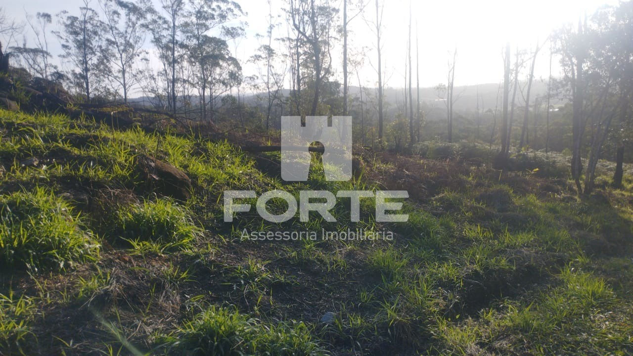 Terreno, 1000 m² - Foto 1