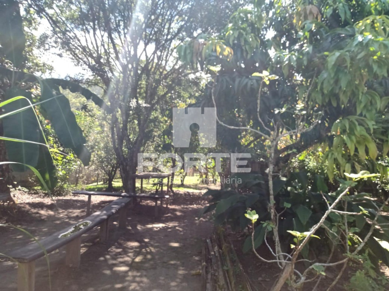 Chácara, 3 quartos, 1845 m² - Foto 17