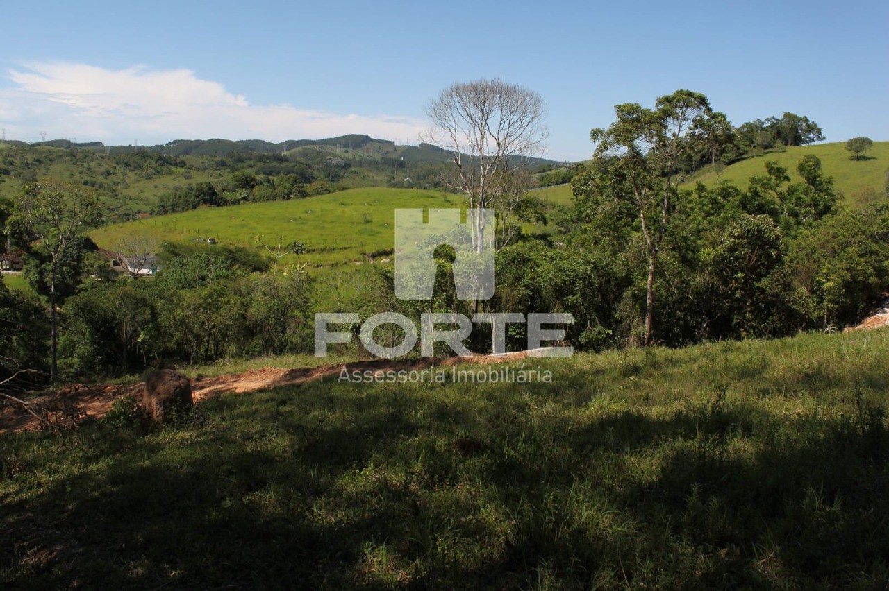 Terreno, 9 hectares - Foto 9