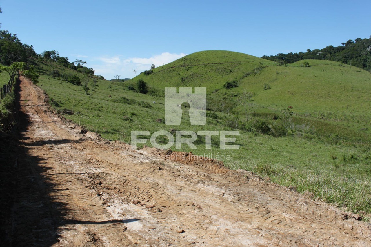 Terreno, 9 hectares - Foto 6