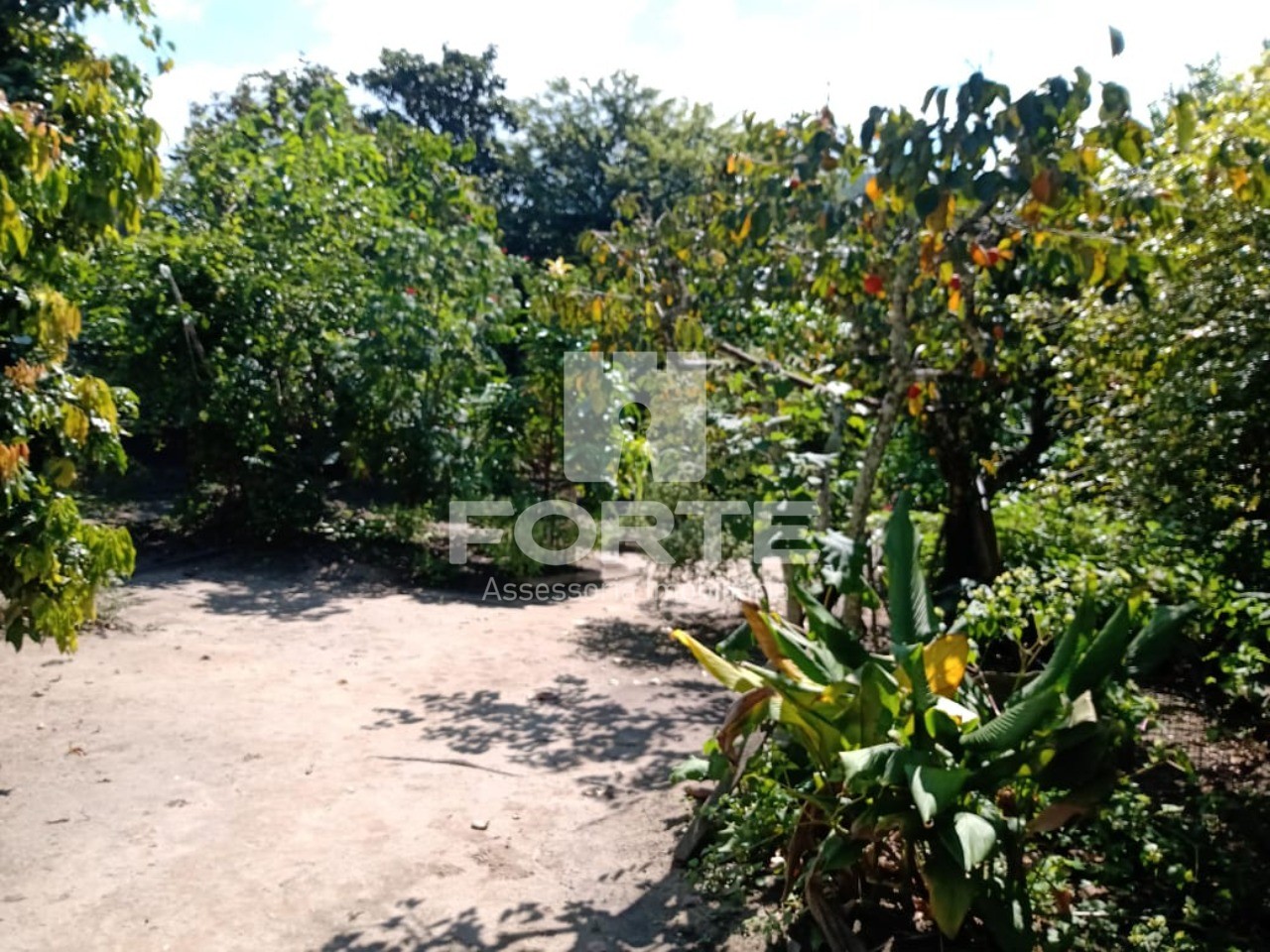 Chácara, 3 quartos, 1845 m² - Foto 15