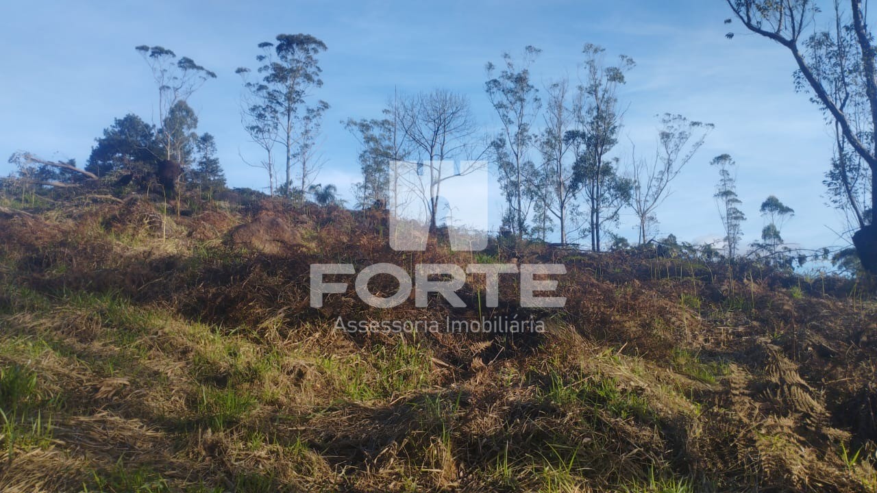 Terreno, 1000 m² - Foto 7