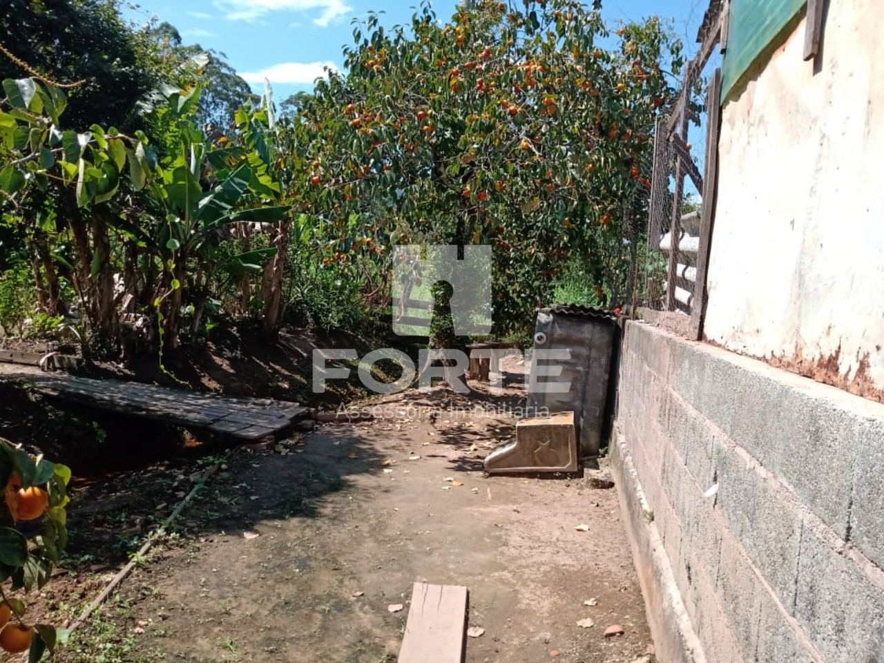 Chácara, 3 quartos, 1845 m² - Foto 11