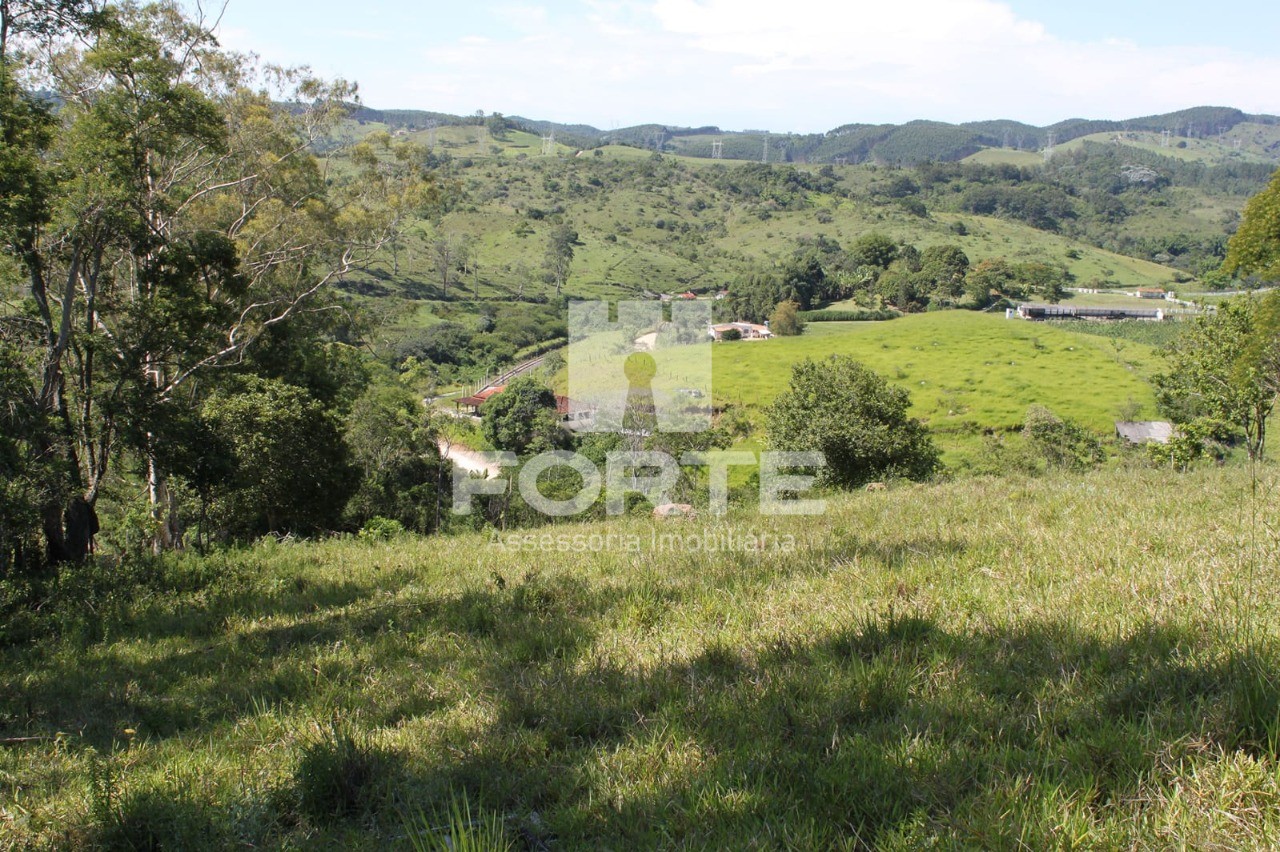 Terreno, 9 hectares - Foto 7