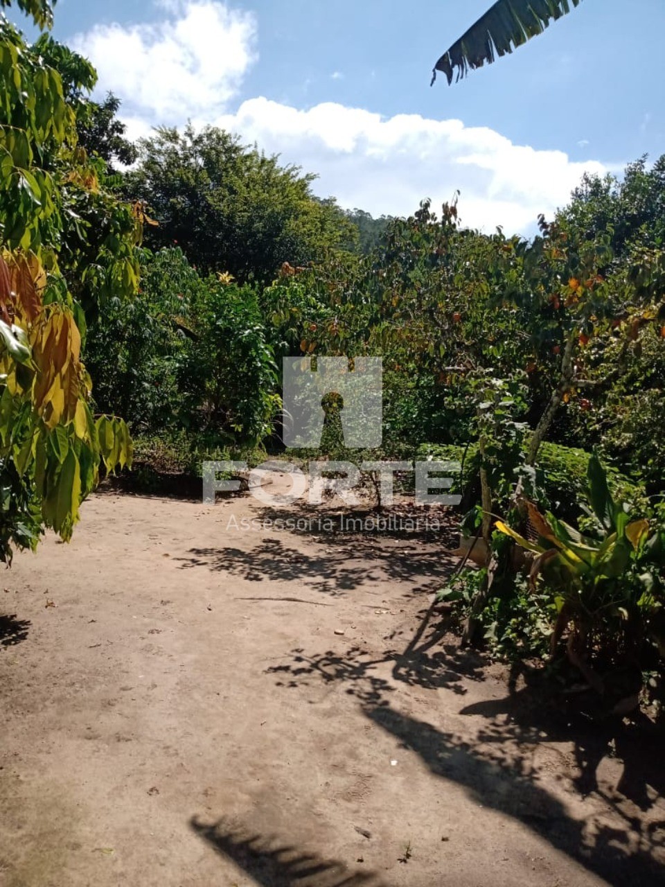 Chácara, 3 quartos, 1845 m² - Foto 8