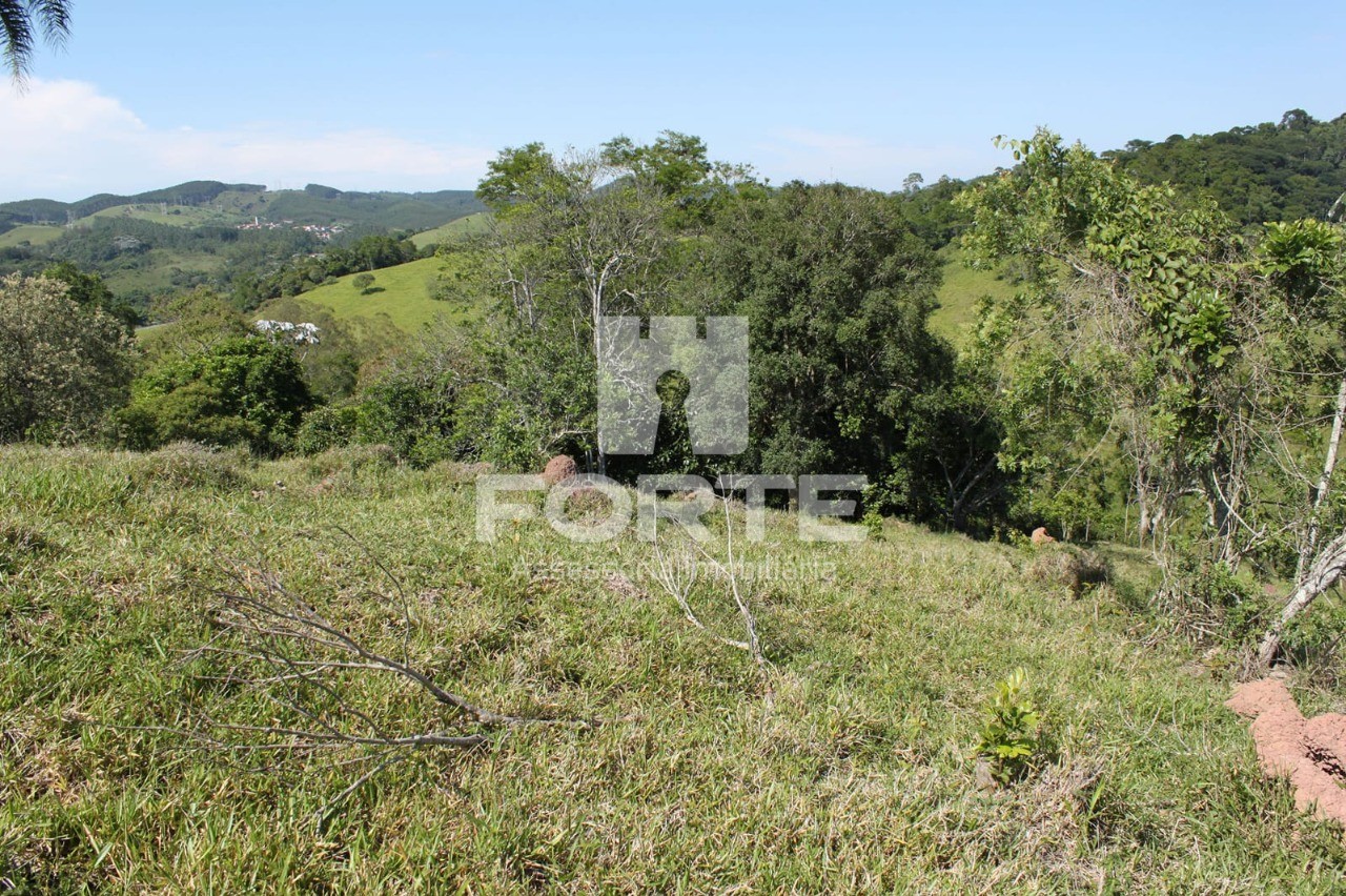 Terreno, 9 hectares - Foto 2