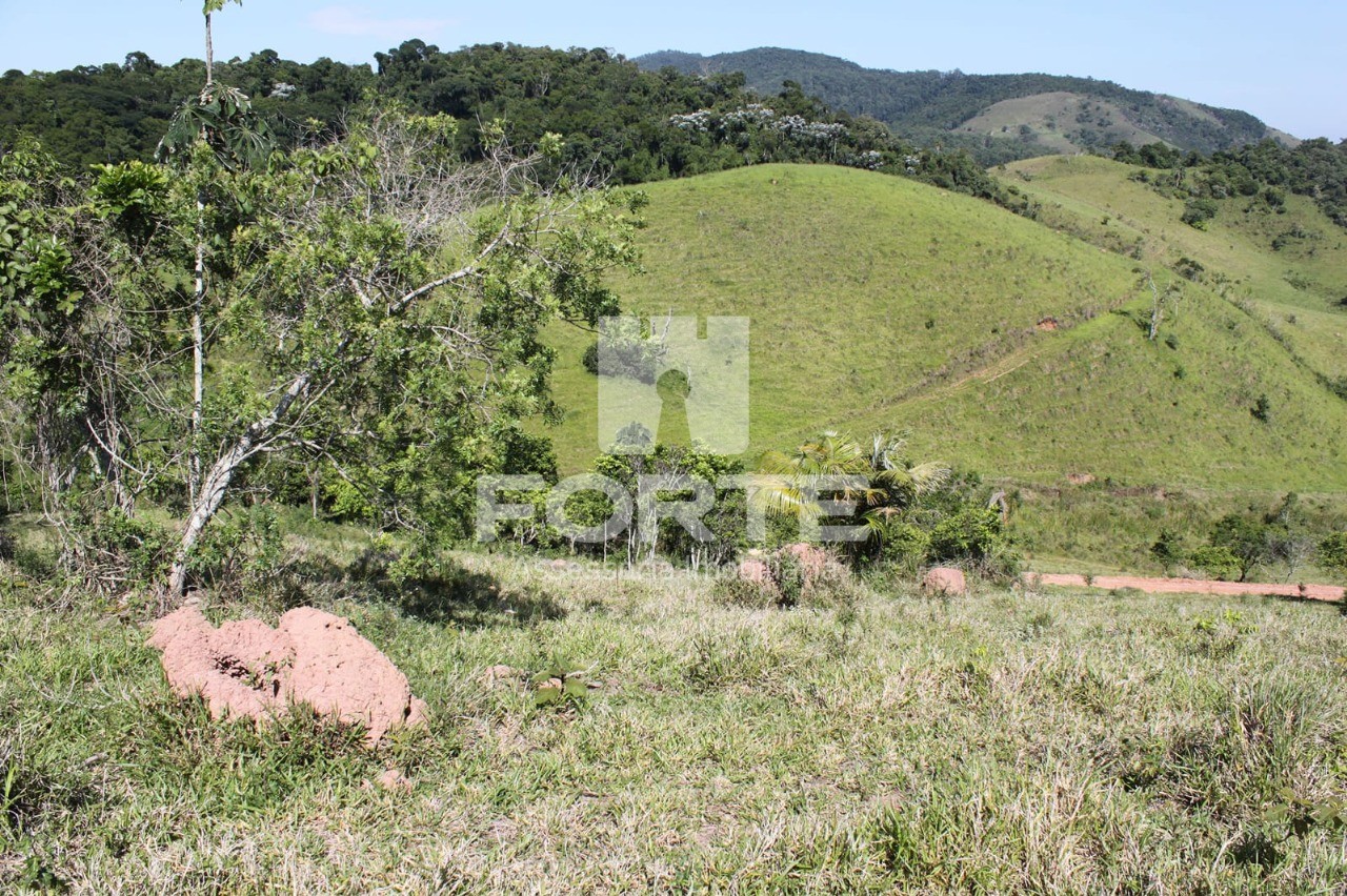 Terreno, 9 hectares - Foto 8