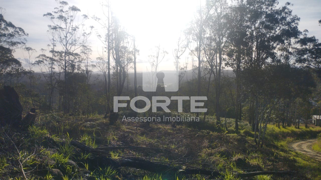 Terreno, 1000 m² - Foto 3
