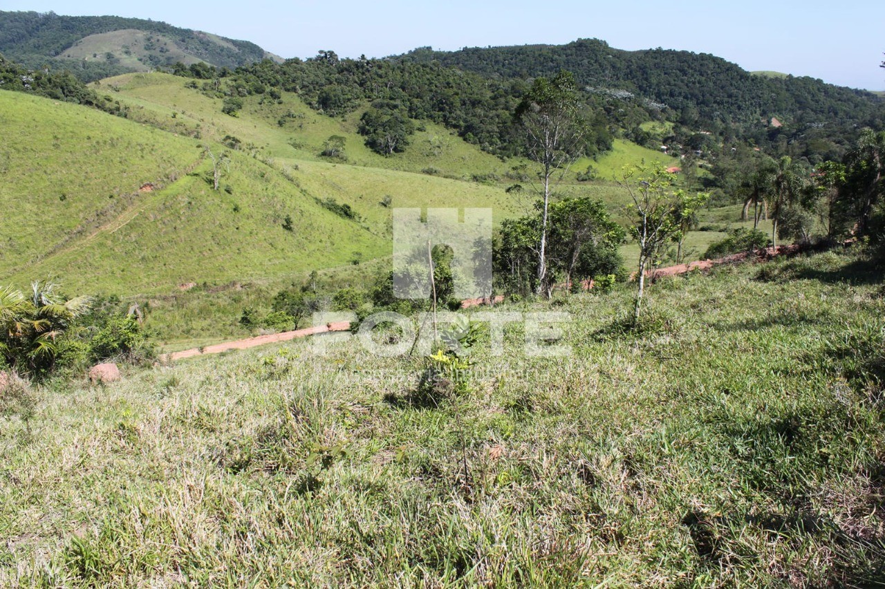 Terreno, 9 hectares - Foto 4