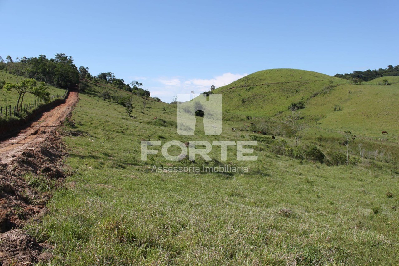 Terreno, 9 hectares - Foto 1