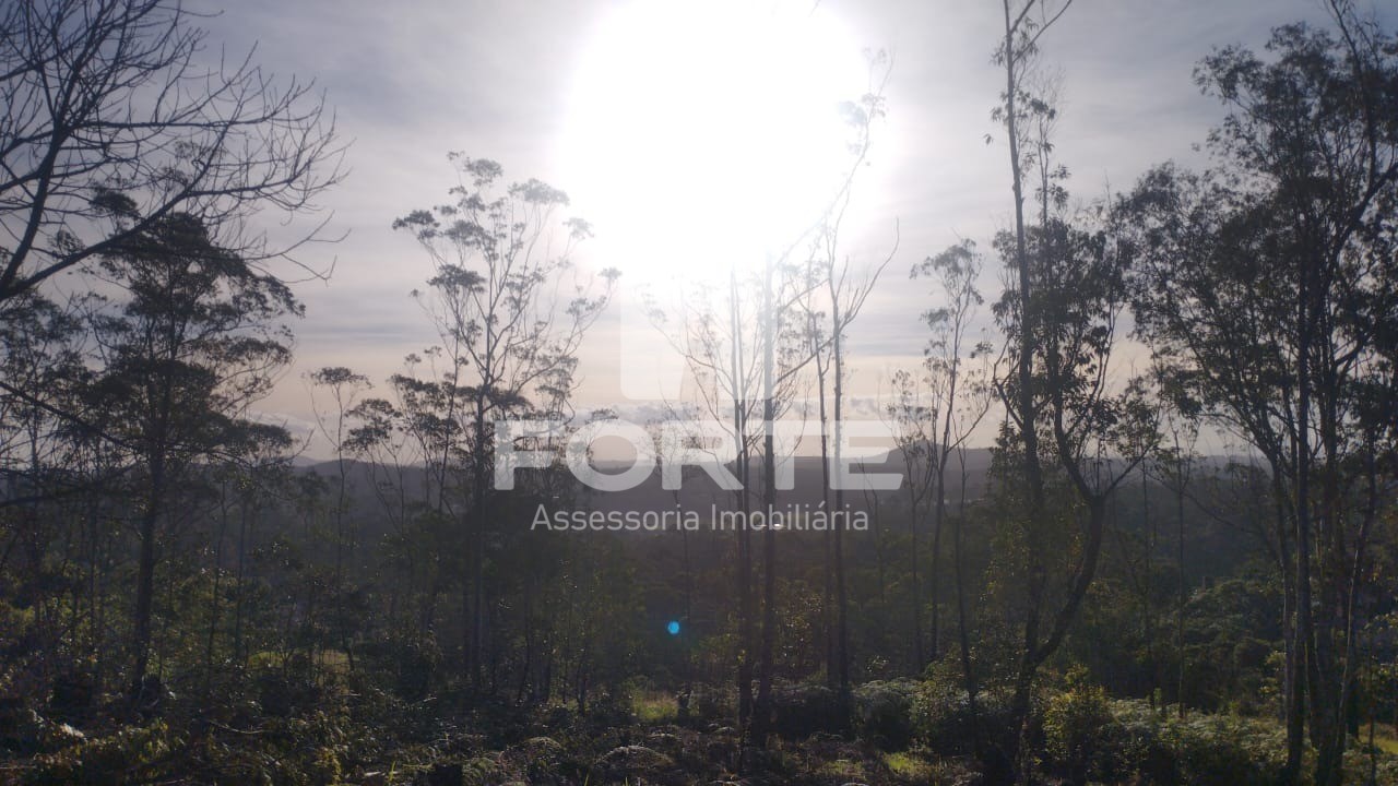 Terreno, 1000 m² - Foto 5