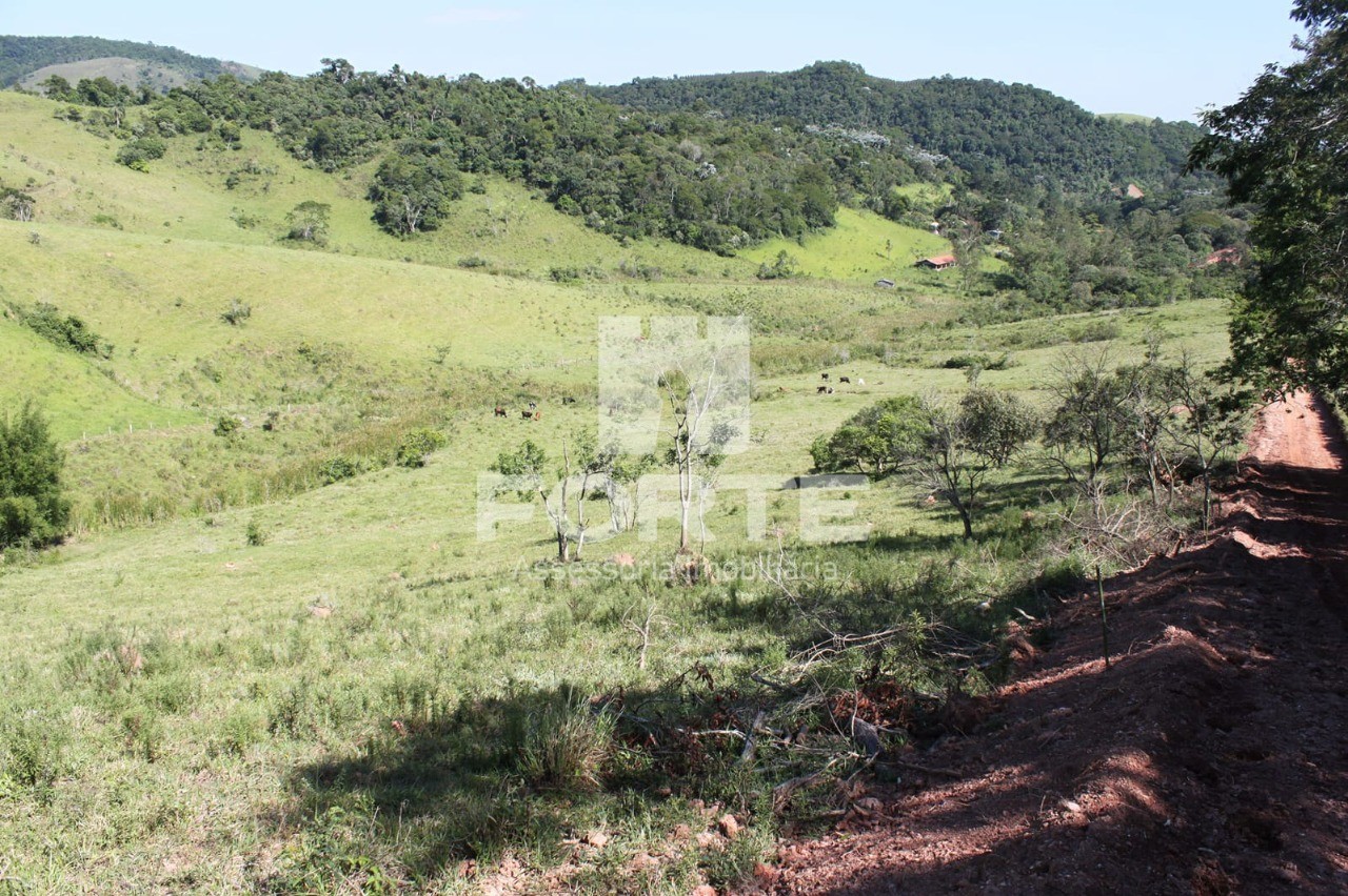 Terreno, 9 hectares - Foto 3