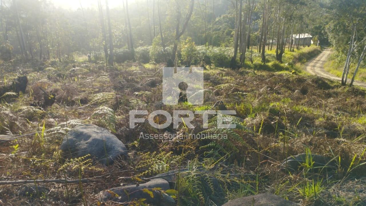 Terreno, 1000 m² - Foto 6