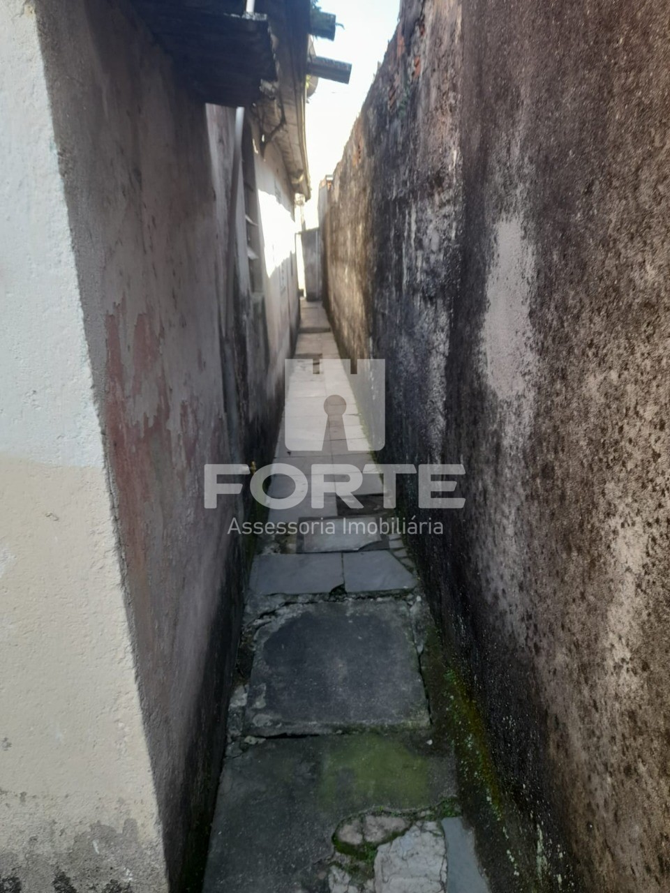 Apartamento, 3 quartos, 80 m² - Foto 63