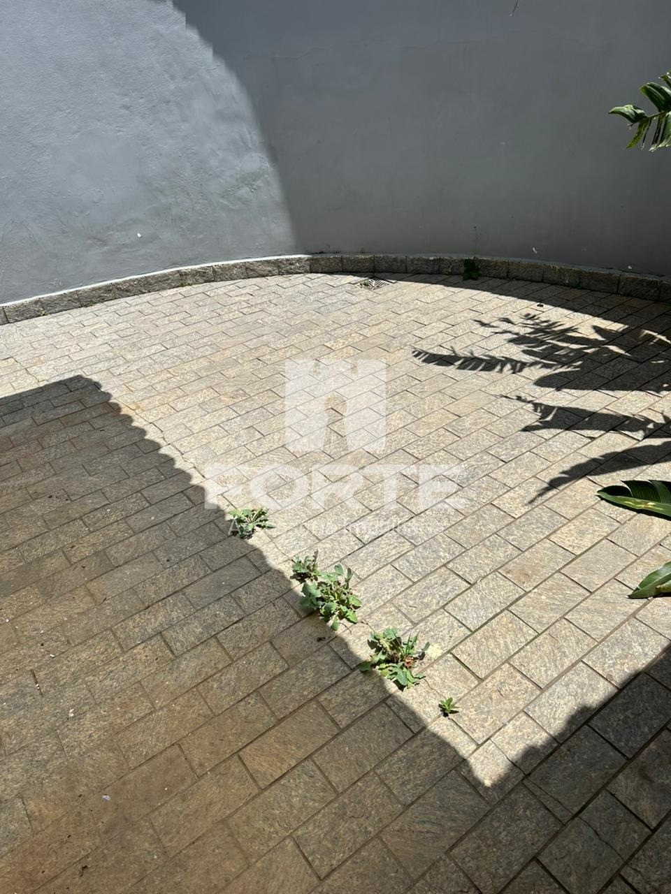 Casa, 4 quartos, 174 m² - Foto 4