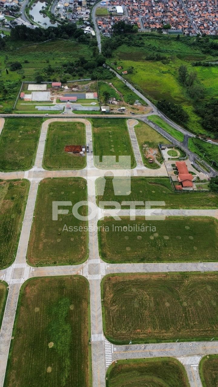 Terreno, 6 hectares - Foto 3