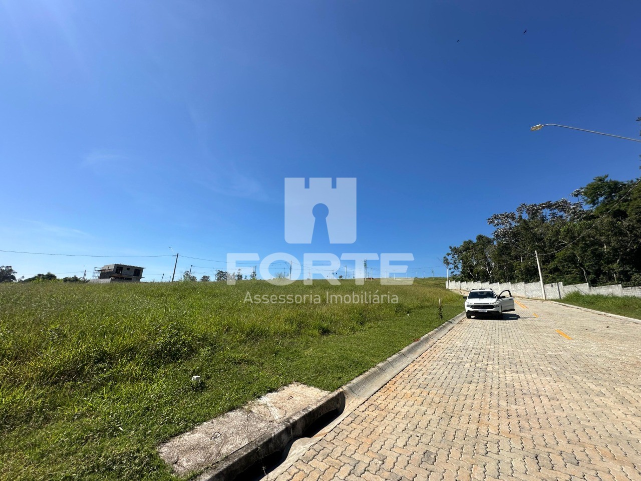 Terreno, 6 hectares - Foto 4