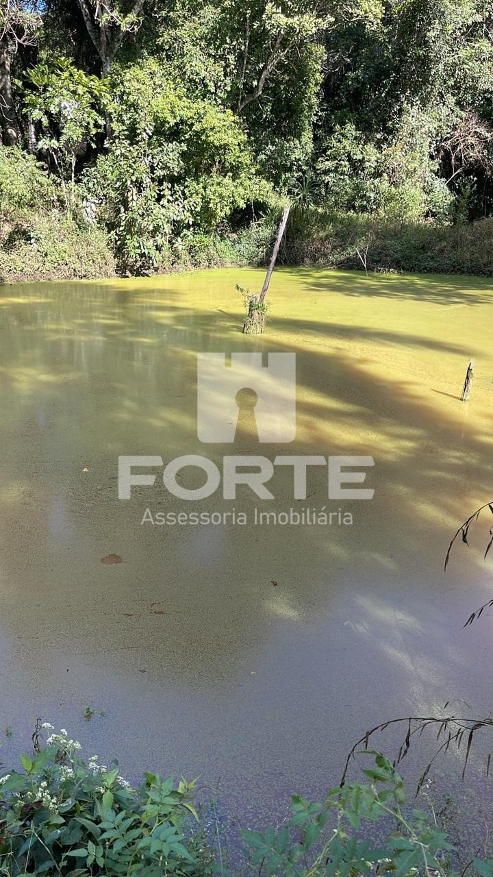 Chácara, 4 quartos, 4474 m² - Foto 16