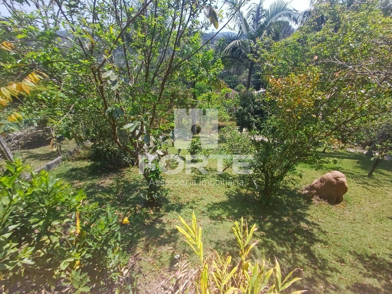 Chácara, 3 quartos - Foto 9
