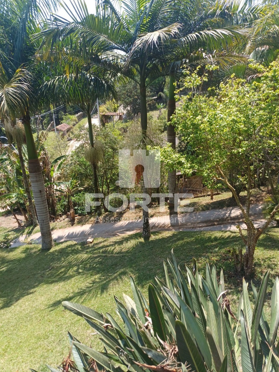 Chácara, 3 quartos - Foto 4