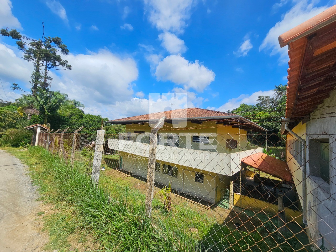 Chácara, 5 quartos, 5000 m² - Foto 4