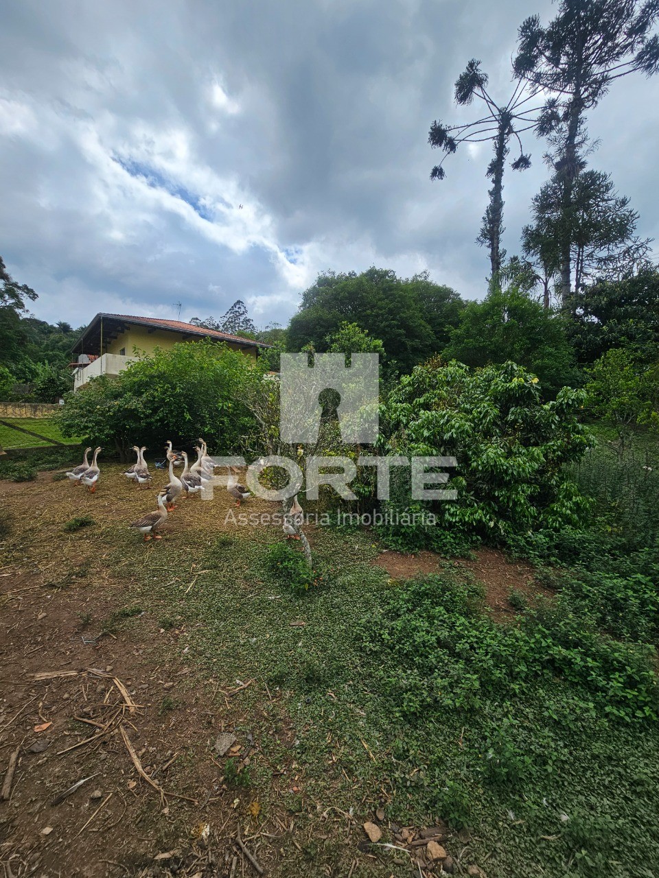 Chácara, 5 quartos, 5000 m² - Foto 61