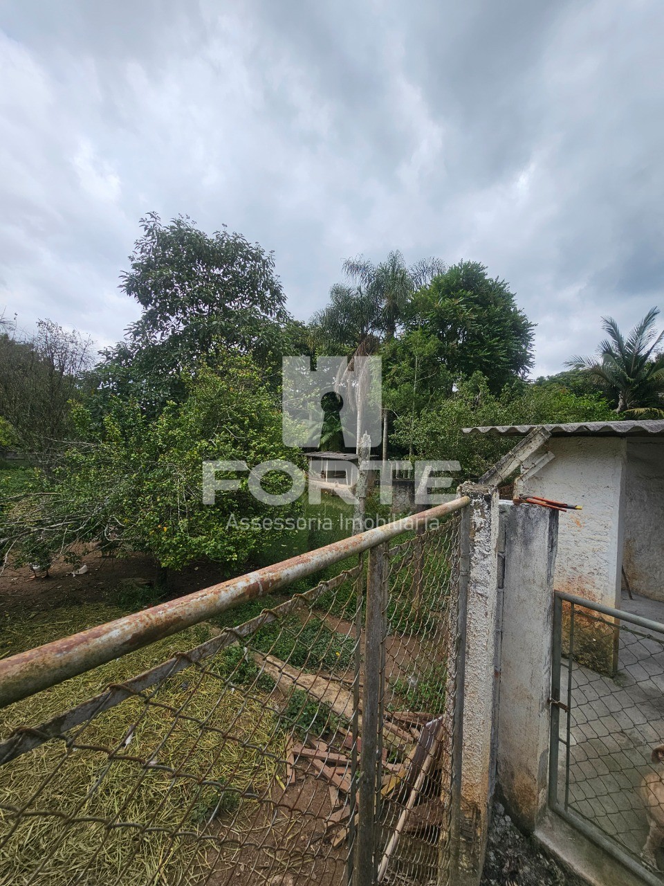 Chácara, 5 quartos, 5000 m² - Foto 66