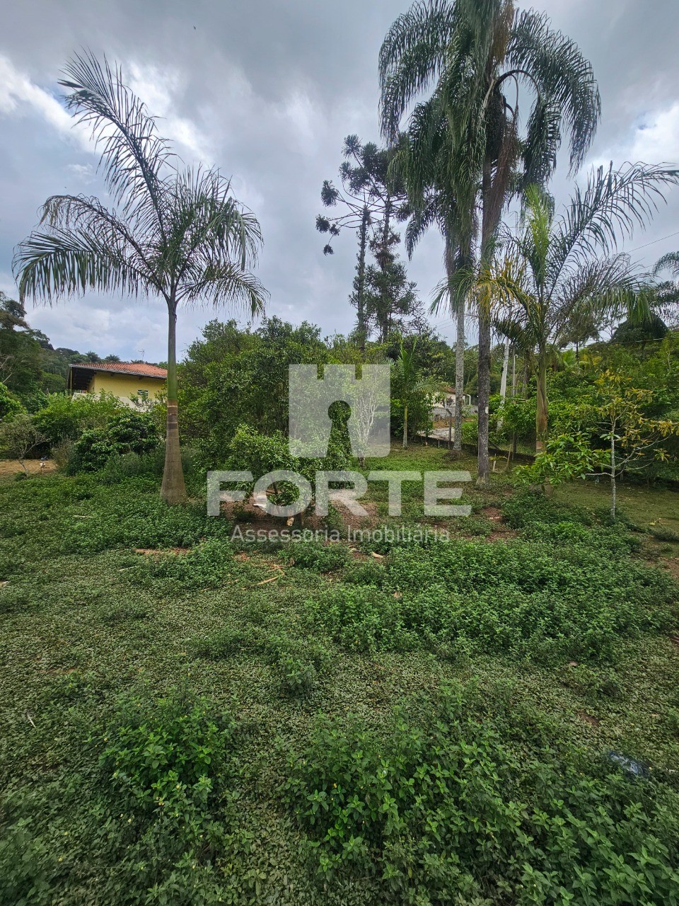 Chácara, 5 quartos, 5000 m² - Foto 62