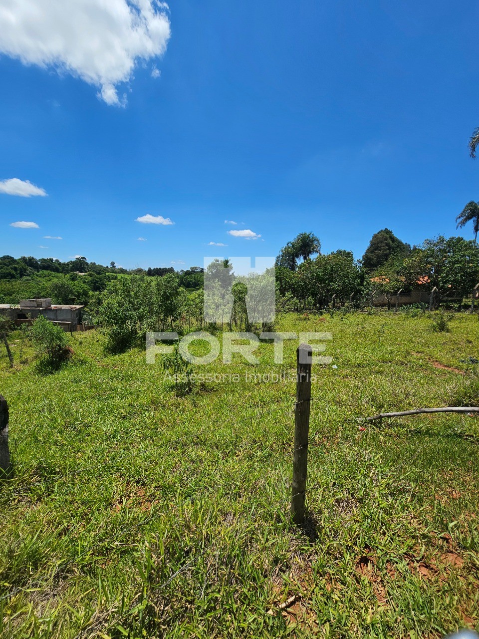 Terreno, 2000 m² - Foto 5