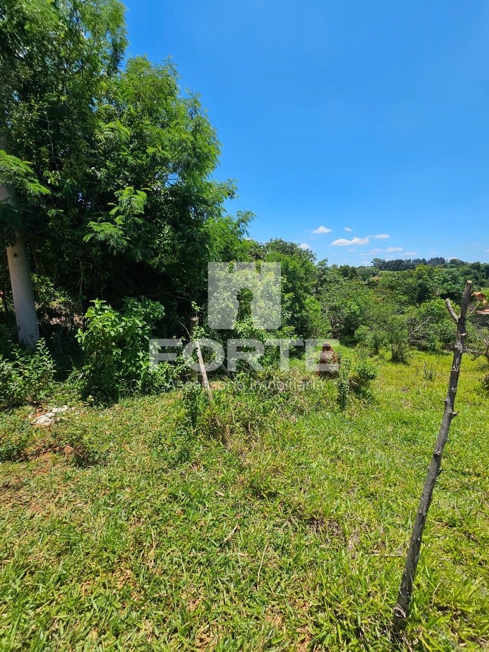 Terreno, 2000 m² - Foto 3