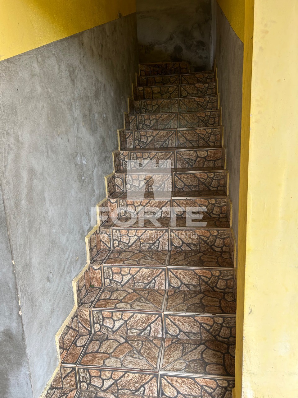 Sítio, 4 quartos, 3215 m² - Foto 8
