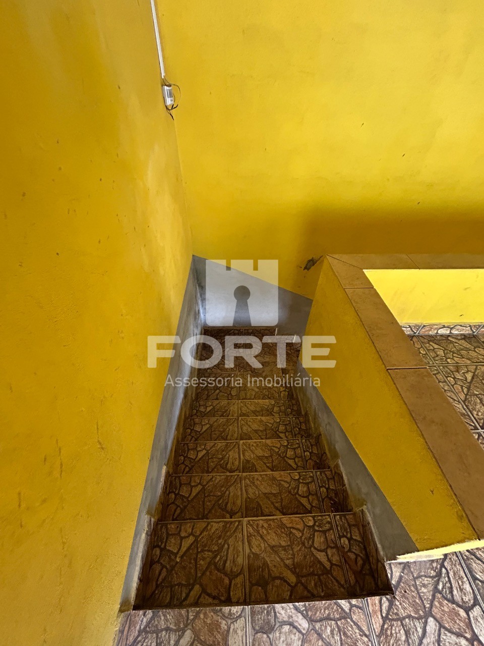 Sítio, 4 quartos, 3215 m² - Foto 57