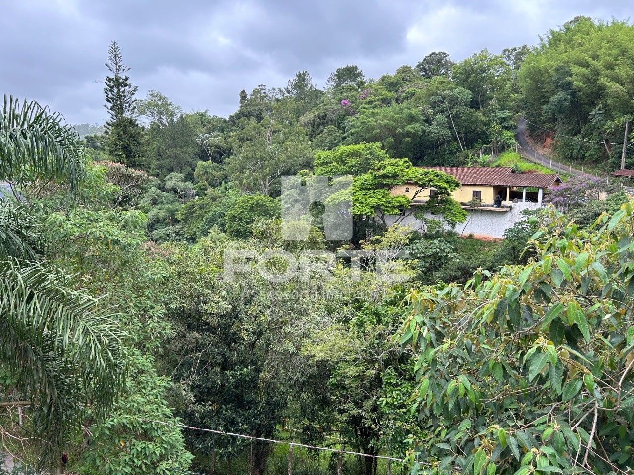 Sítio, 4 quartos, 3215 m² - Foto 14