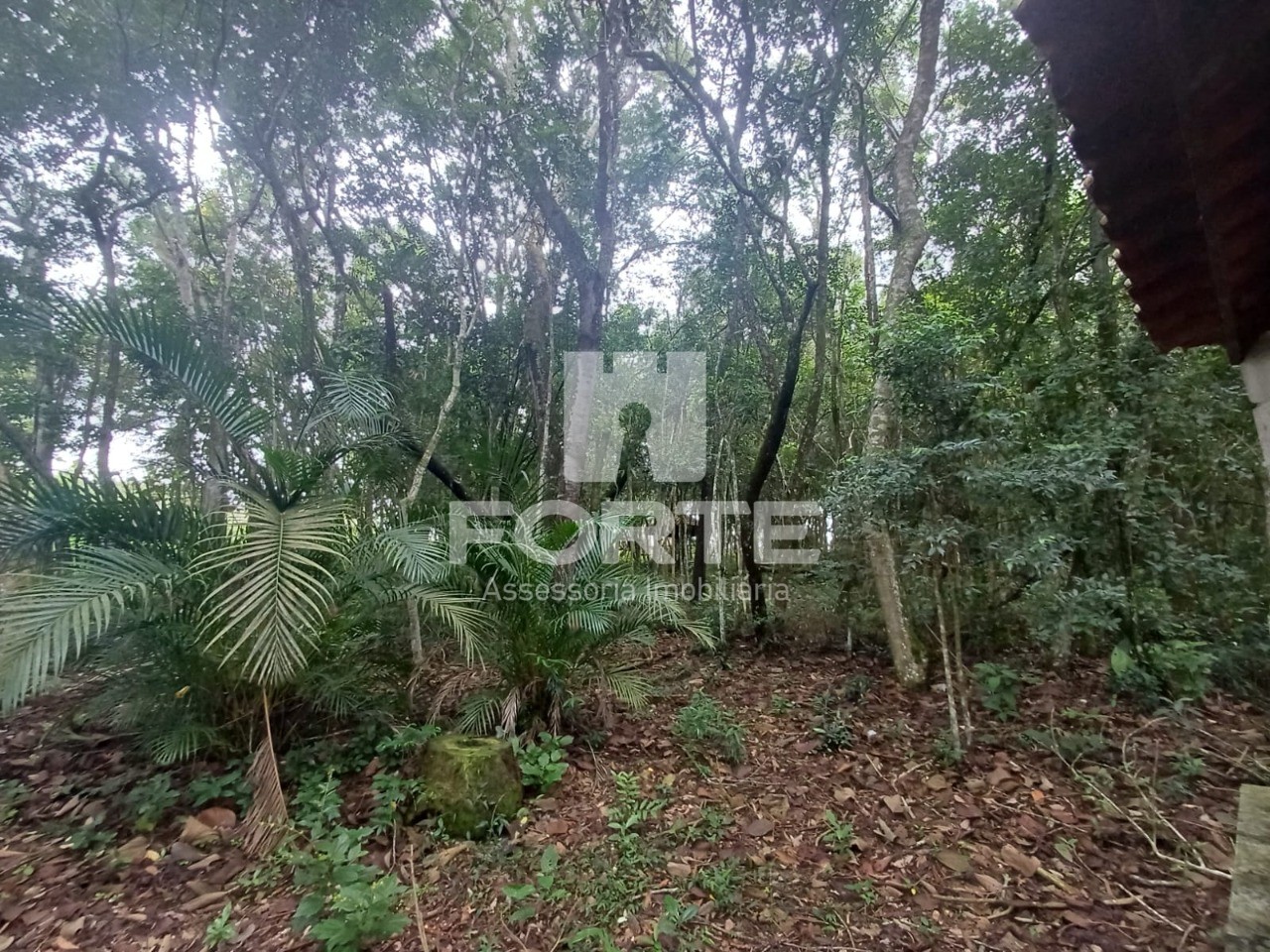 Terreno, 3 hectares - Foto 9