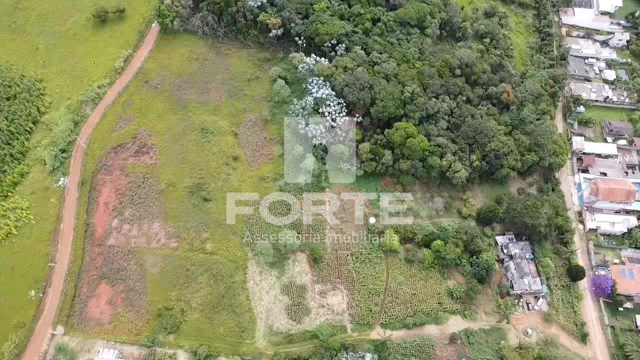 Terreno, 3 hectares - Foto 14