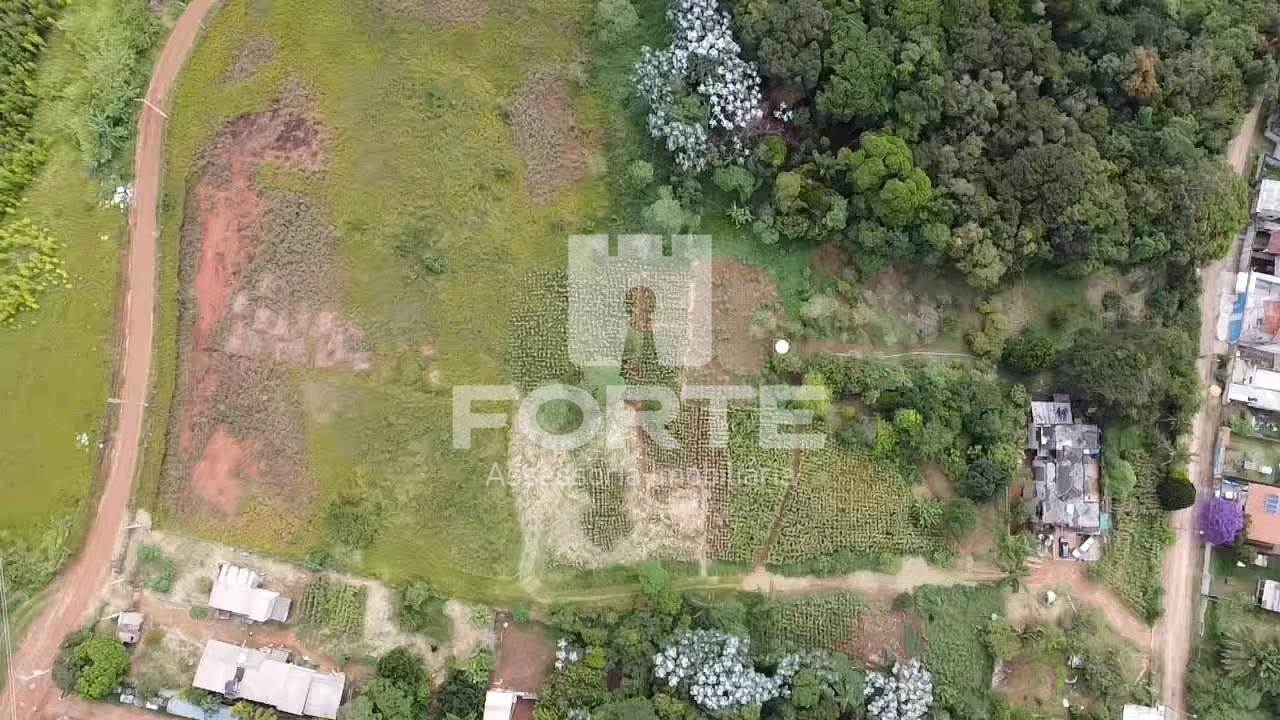 Terreno, 3 hectares - Foto 12