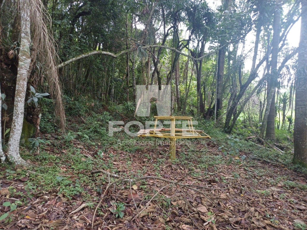 Terreno, 3 hectares - Foto 8