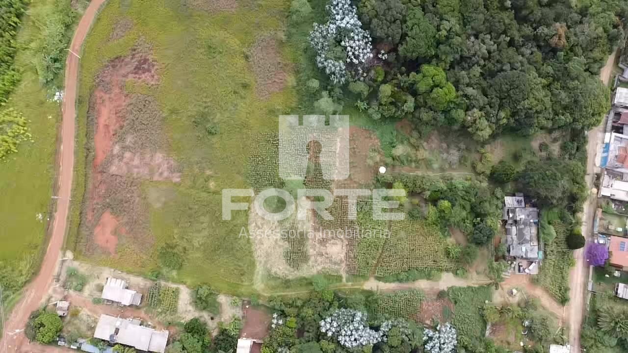 Terreno, 3 hectares - Foto 13