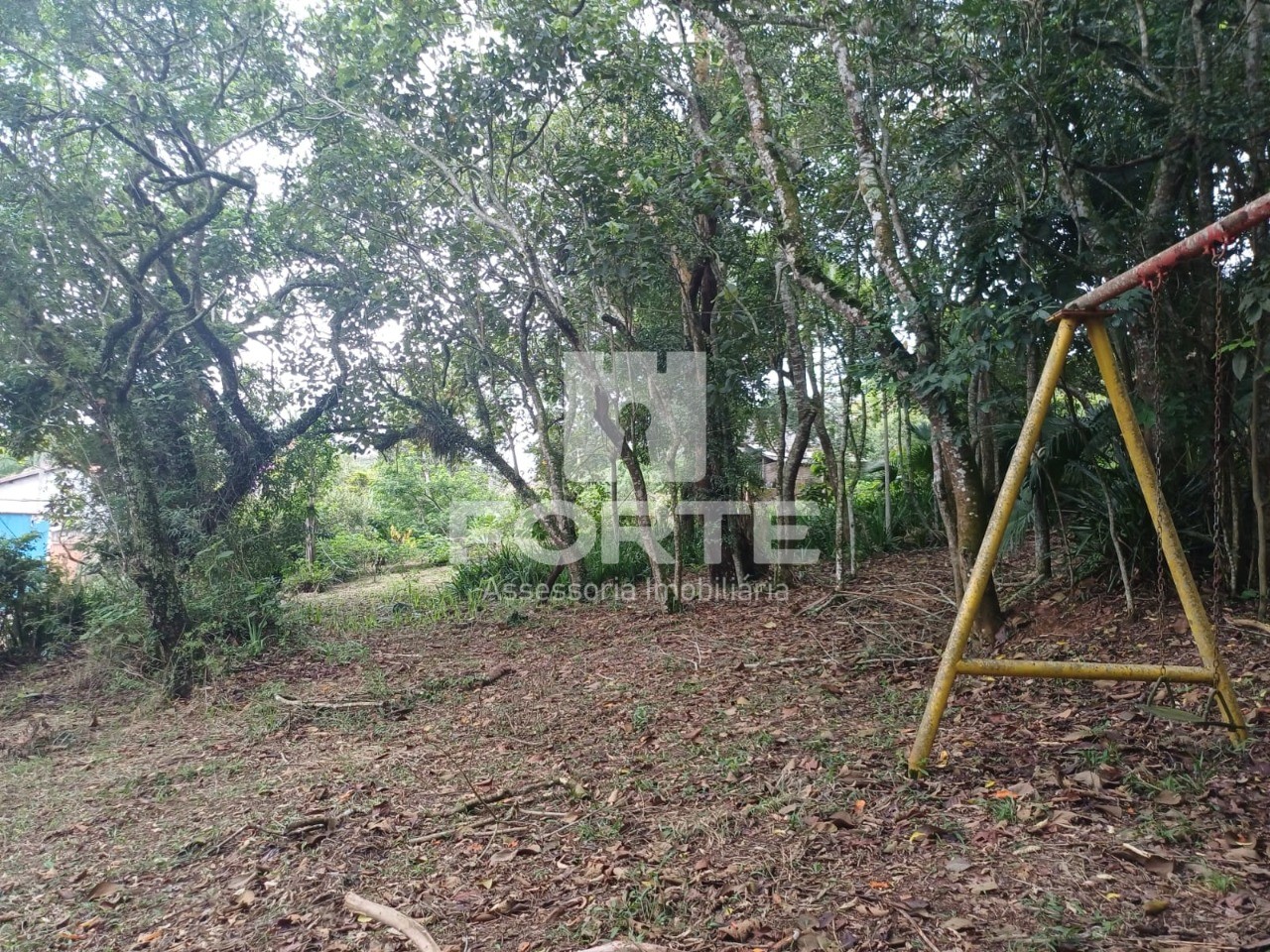 Terreno, 3 hectares - Foto 7