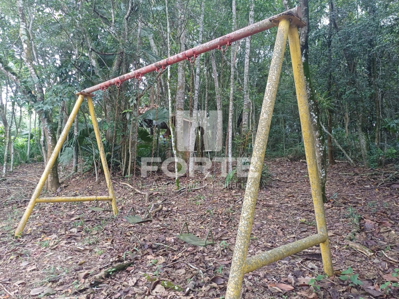 Terreno, 3 hectares - Foto 10
