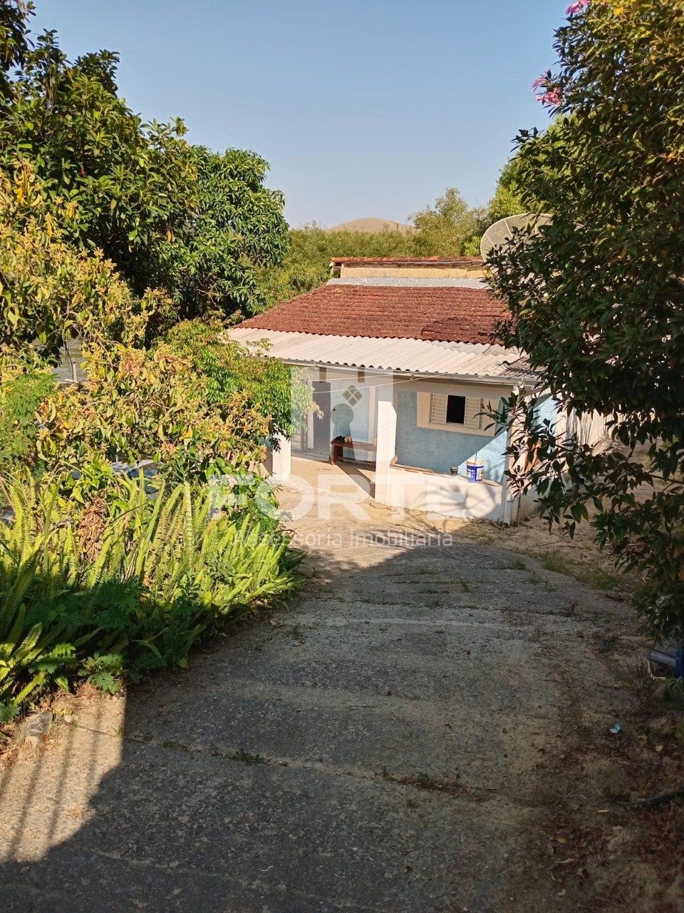 Chácara, 2 quartos, 860 m² - Foto 4