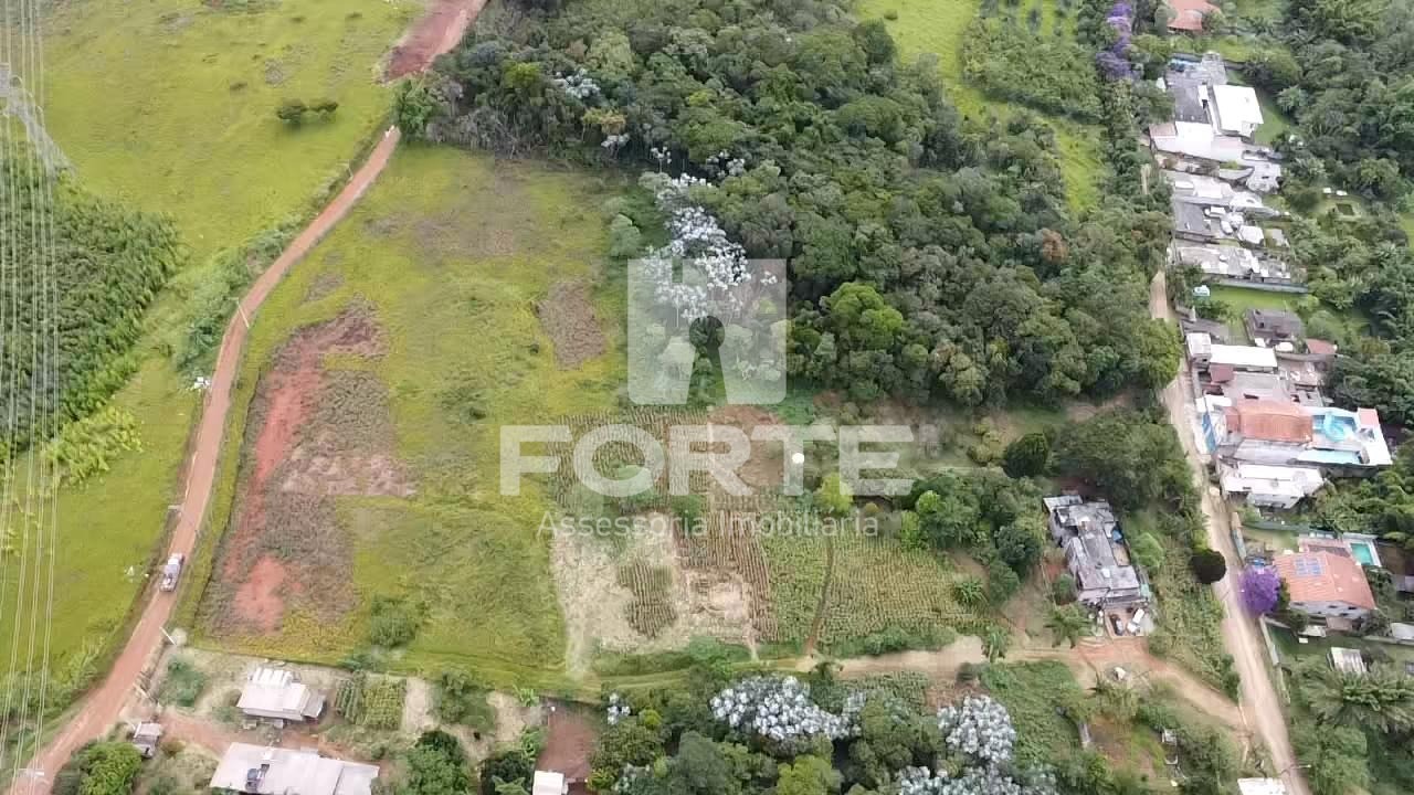 Terreno, 3 hectares - Foto 16