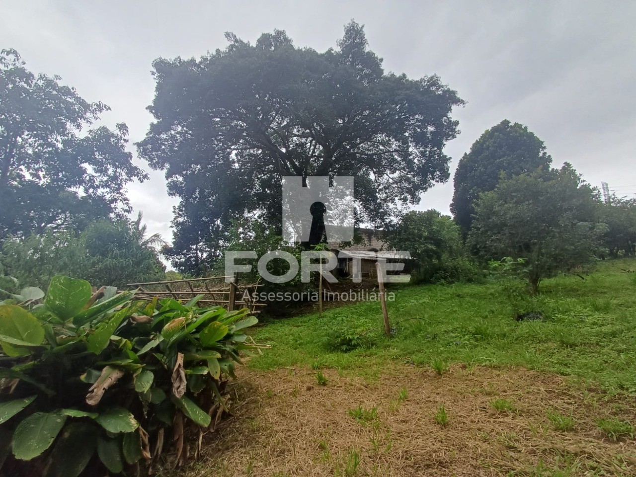 Terreno, 3 hectares - Foto 3