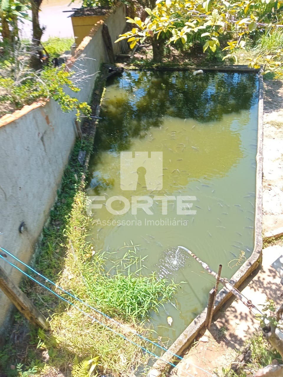 Chácara, 2 quartos, 860 m² - Foto 3