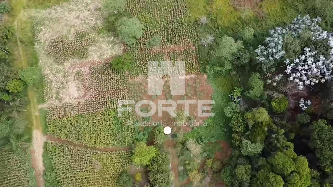 Terreno, 3 hectares - Foto 37