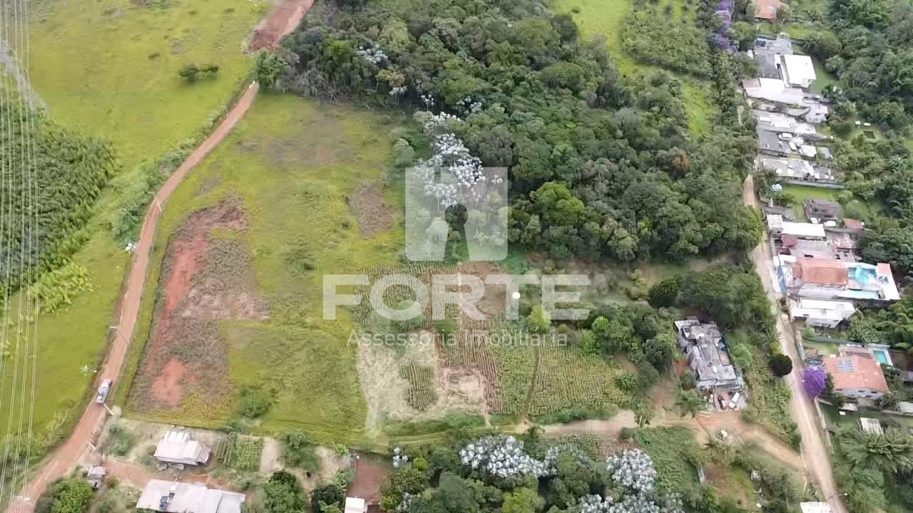 Terreno, 3 hectares - Foto 15