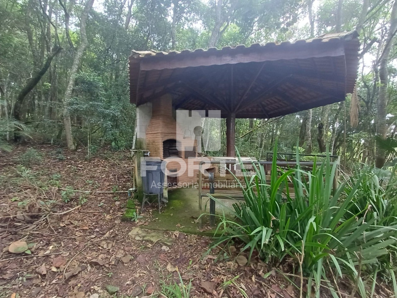 Terreno, 3 hectares - Foto 11